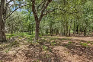 15810 SW 59th Avenue Rd, Ocala, FL 34473 - Photo 33