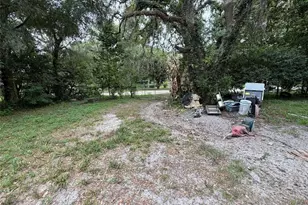 39412 Mercer Rd, Dade City, FL 33523 - Photo 5