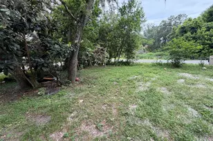 39412 Mercer Rd, Dade City, FL 33523 - Photo 7
