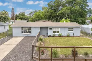 855 Pearl Dr, Mount Dora, FL 32757 - Photo 1
