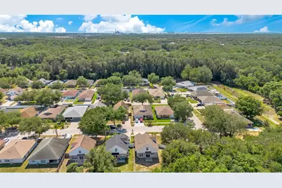 10225 Summerview Circle, Riverview, FL 33578 - Photo 29