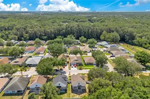 10225 Summerview Cir, Riverview, FL 33578 - Photo 29