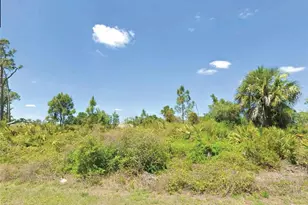 Mauve Terrace, North Port, FL 34286 - Photo 1