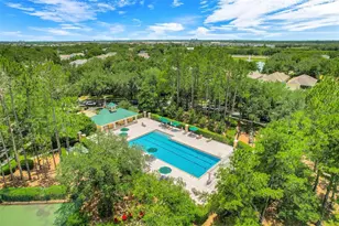 6601 Duncaster St, Windermere, FL 34786 - Photo 57