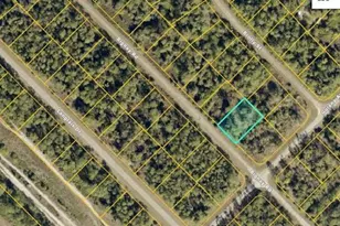 Bignay Rd, North Port, FL 34288 - Photo 1