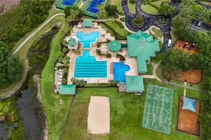 18915 Nest Fern Cir, Tampa, FL 33647 - Photo 41
