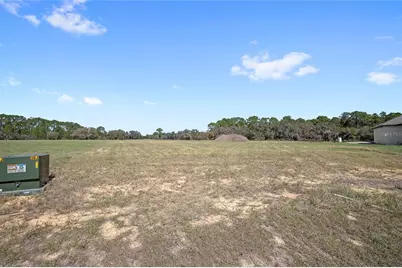 38361 Lake Meadow Court, Umatilla, FL 32784 - Photo 5