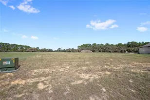 38361 Lk Mdw Ct, Umatilla, FL 32784 - Photo 5