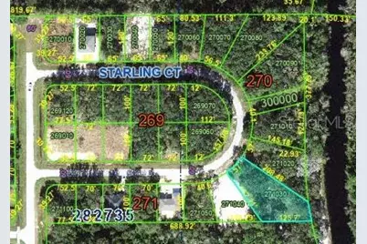 223 Starling Court, Poinciana, FL 34759 - Photo 3