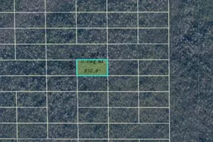 Dill Rd, Orlando, FL 32820 - Photo 1