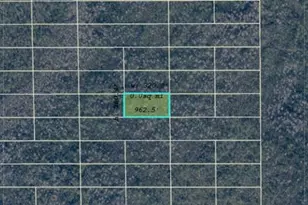 Dill Rd, Orlando, FL 32820 - Photo 1