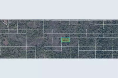 Dill Road, Orlando, FL 32820 - Photo 3