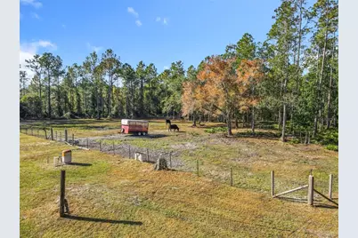 6100 Winning Wood Trail, De Leon Springs, FL 32130 - Photo 37