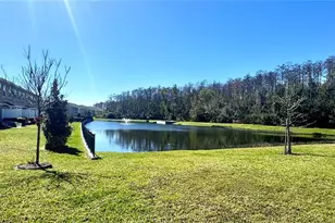4252 Gumbo Limbo Dr, Orlando, FL 32822 - Photo 29