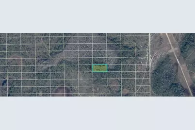 Dill Road, Orlando, FL 32820 - Photo 3
