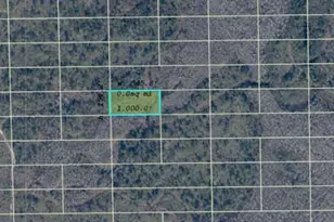 Dill Rd, Orlando, FL 32820 - Photo 1