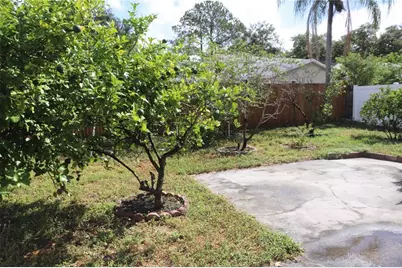 11012 Brightside Drive, Tampa, FL 33624 - Photo 15