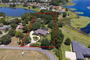 605 Old Mt Dora Rd, Eustis, FL 32726 - Photo 59