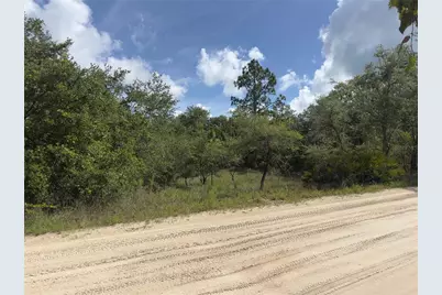 8389 SW 155th Street, Dunnellon, FL 34432 - Photo 3