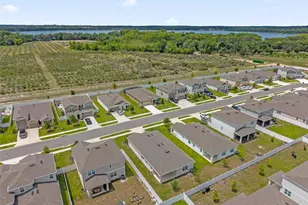 3998 Bannock Ave, Tavares, FL 32778 - Photo 49