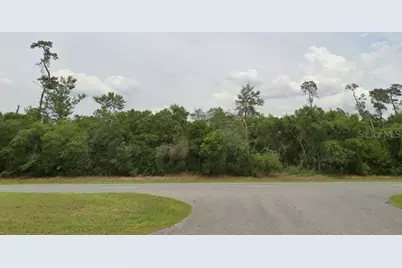 Tbd Marion Oaks Boulevard, Ocala, FL 34473 - Photo 1