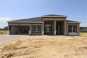 3193 Wolf Lk Ave, Apopka, FL 32712 - Photo 1