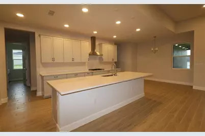 3193 Wolf Lake Avenue, Apopka, FL 32712 - Photo 5