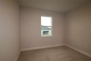 3193 Wolf Lk Ave, Apopka, FL 32712 - Photo 9