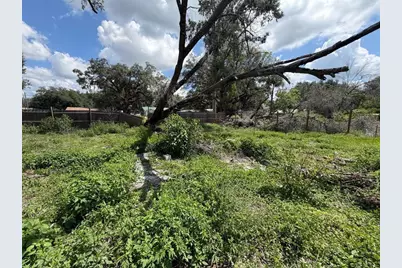 38343 Corey Street, Zephyrhills, FL 33542 - Photo 9