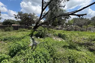 38343 Corey St, Zephyrhills, FL 33542 - Photo 9