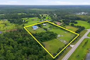 31243 Bear Pond Dr, Sorrento, FL 32776 - Photo 67
