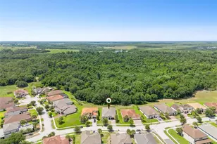 3874 Bowfin Trail, Kissimmee, FL 34746 - Photo 39