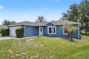 449 Danube Dr, Kissimmee, FL 34759 - Photo 3