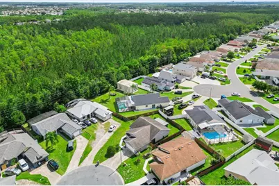 217 Olivewood Court, Kissimmee, FL 34743 - Photo 17