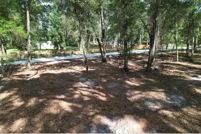 17792 SE 30th Avenue, Summerfield, FL 34491 - Photo 3