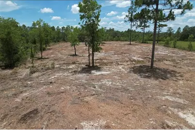 Ne 56th Street, Bronson, FL 32621 - Photo 7