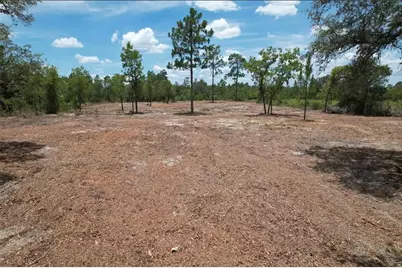 Ne 56th Street, Bronson, FL 32621 - Photo 1