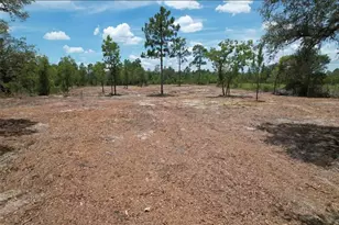 NE 56th St, Bronson, FL 32621 - Photo 1
