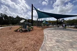 6930 Audobon Osprey Cv, Harmony, FL 34773 - Photo 69