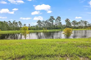 3933 Duval Ct, Clermont, FL 34714 - Photo 47