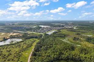 3933 Duval Ct, Clermont, FL 34714 - Photo 11