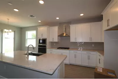 3206 Wolf Lake Avenue, Apopka, FL 32712 - Photo 3