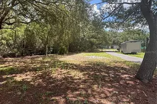 44238 Forest View Rd, Deland, FL 32720 - Photo 33