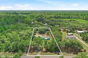 44238 Forest View Rd, Deland, FL 32720 - Photo 9