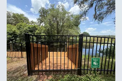 24907 NE 135th Street, Salt Springs, FL 32134 - Photo 43