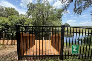 24907 NE 135th St, Salt Springs, FL 32134 - Photo 43