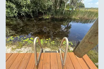 24907 NE 135th Street, Salt Springs, FL 32134 - Photo 51