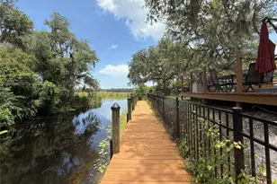 24907 NE 135th St, Salt Springs, FL 32134 - Photo 49