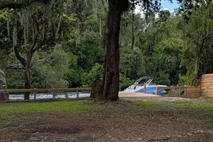 1915 E Mulberry Dr, Tampa, FL 33604 - Photo 3