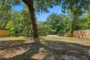 1915 E Mulberry Dr, Tampa, FL 33604 - Photo 3